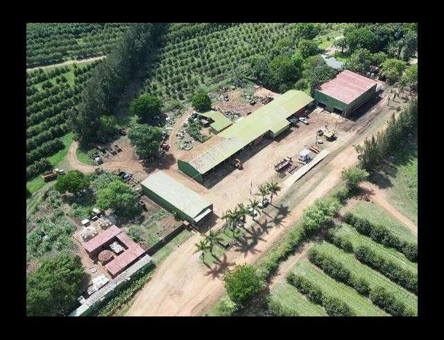 FARM FOR SALE IN LEVUBU